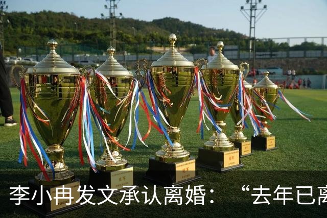 李小冉发文承认离婚：“去年已离互不牵扯，互不打扰，祝各自安好”